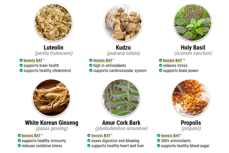 Puravive ingredients